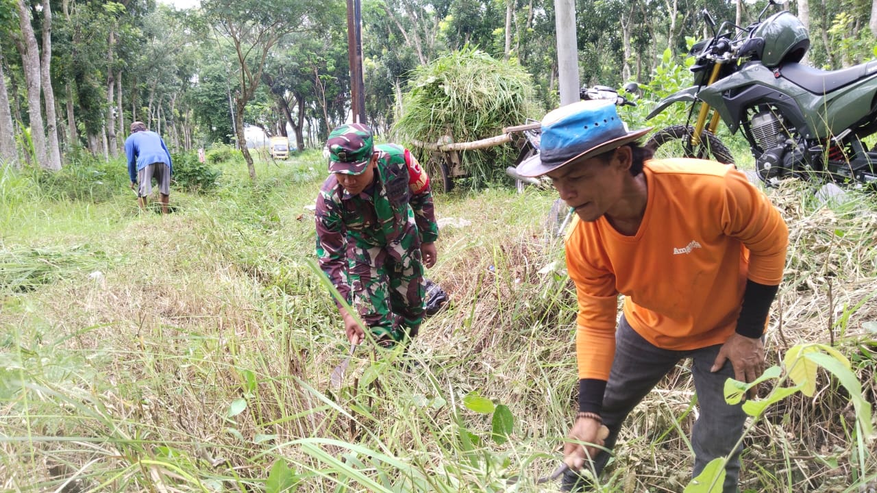 IMG-20240522-WA0046