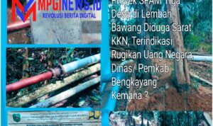 IMG-20251224-WA0017