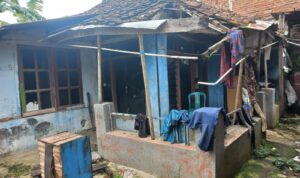 IMG-20260225-WA0095