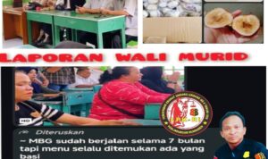 IMG-20260329-WA0074