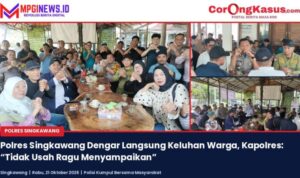Compress_20261021_204504_4489
