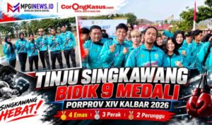 Compress_20261030_222044_4679