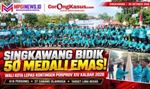 Compress_20261030_234629_9909
